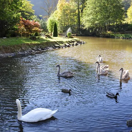 Отель Am Schwanenweiher