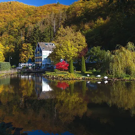 Am Schwanenweiher 3* Бад-Бертрих