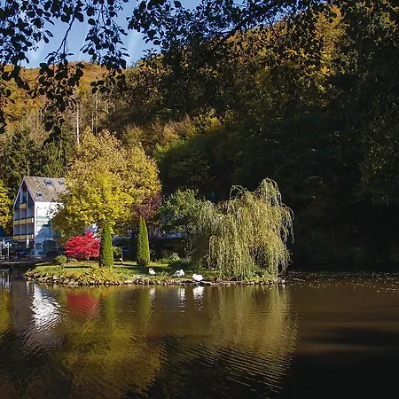 Am Schwanenweiher Бад-Бертрих